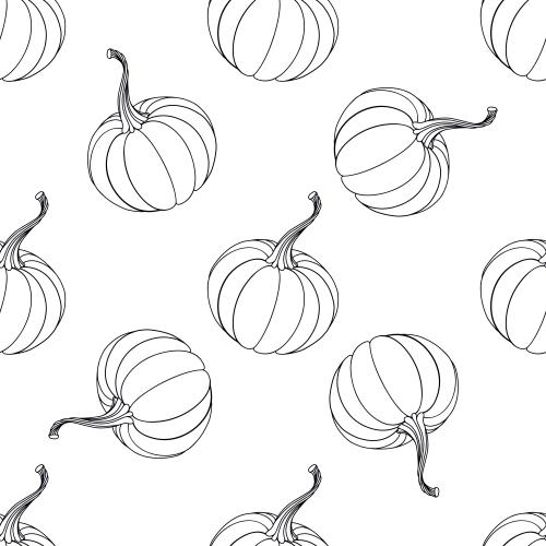 тыквы, контуры на белом